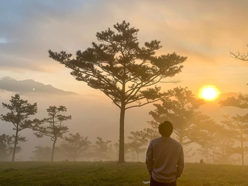 rung-thong-da-lat-san-may.jpg