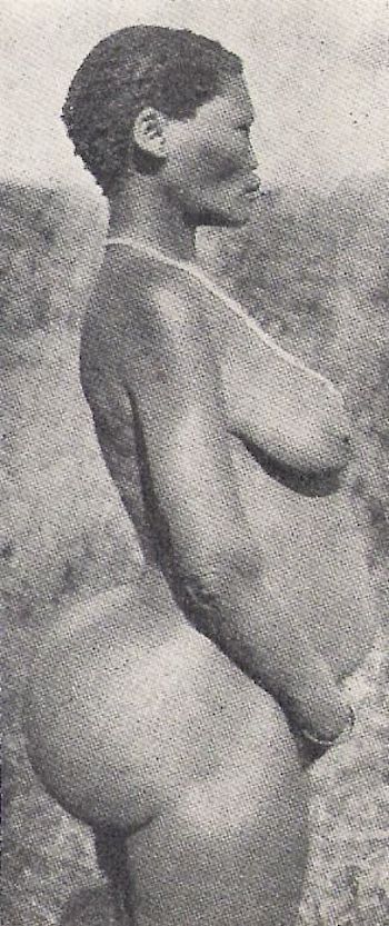 Saartjie-Baartman-.jpg