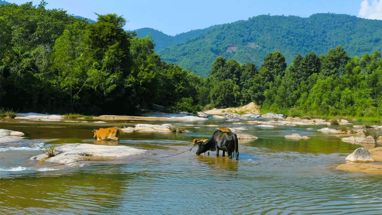 suoi-da-giang-nha-trang-0.jpg