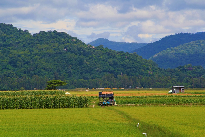 Thất Sơn vào mùa.jpg