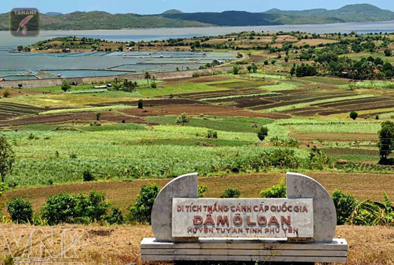 toan-canh-dam-o-loan.jpg