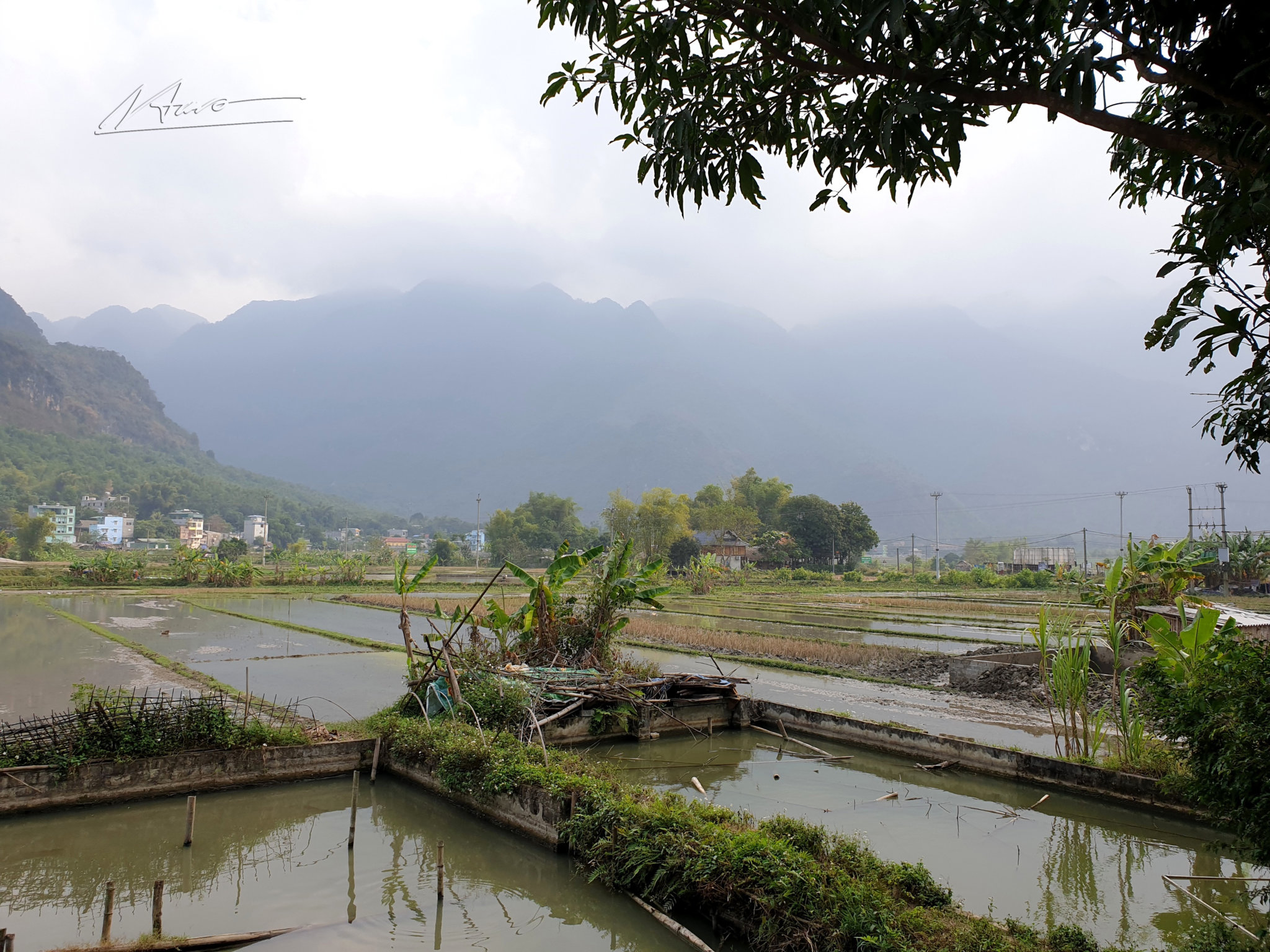 TVH's pic - Mai Chau, Hoa Binh - 301219 (3).jpg