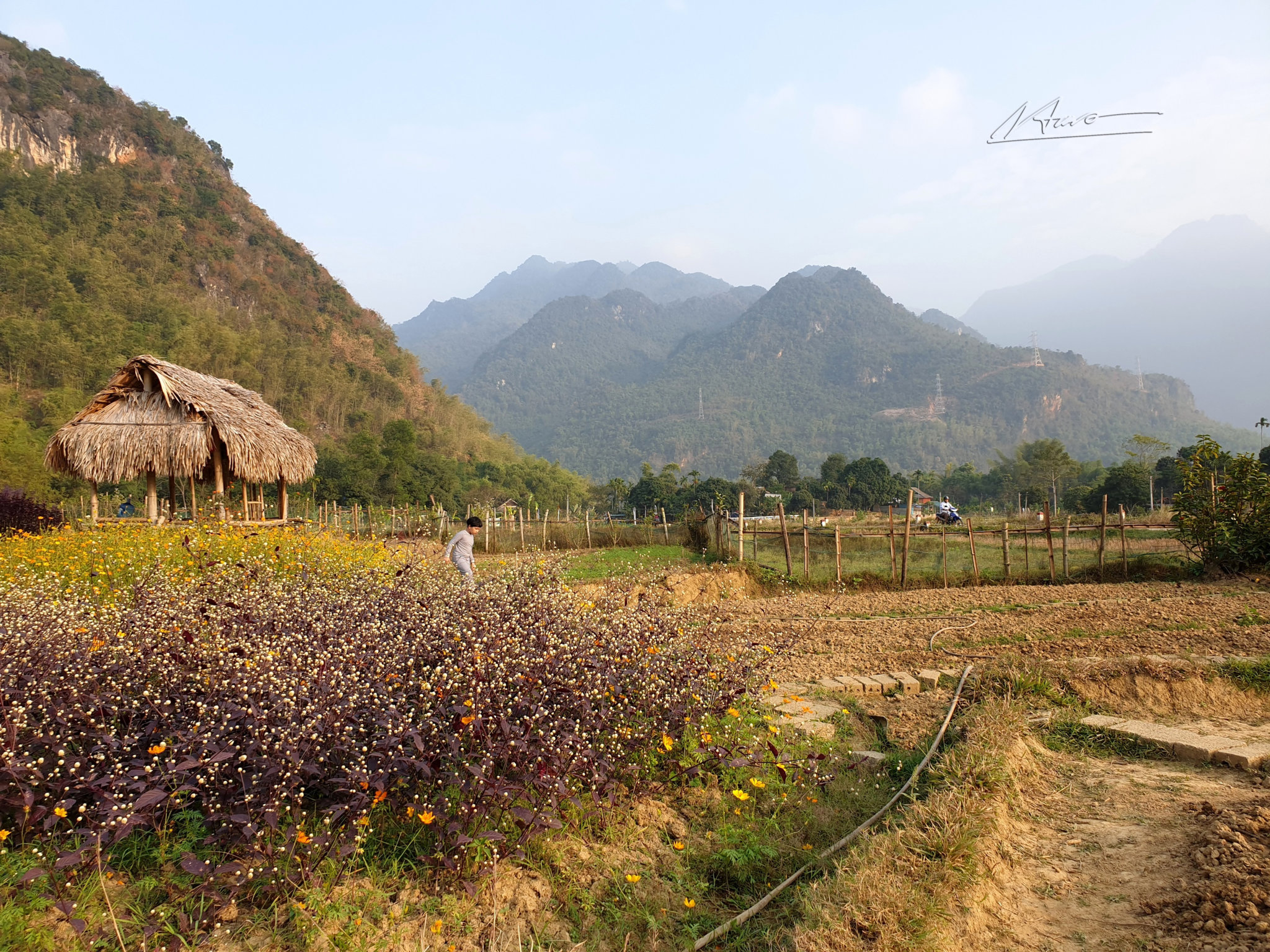 TVH's pic - Mai Chau, Hoa Binh - 301219 (6).jpg
