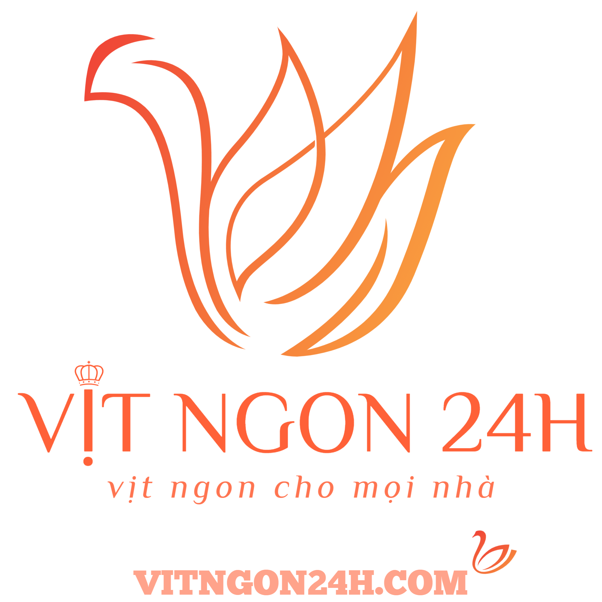 vitngon24h.png