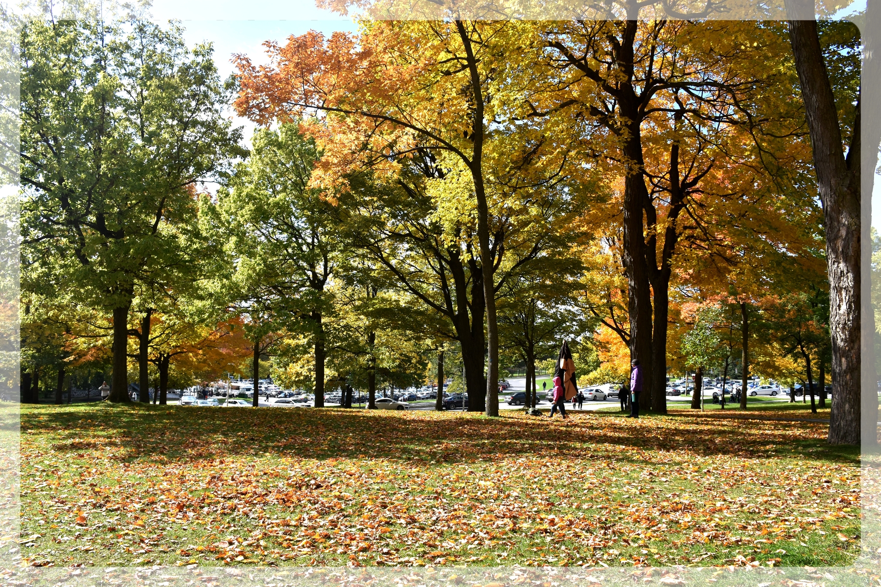 Webp.net-resizeimage (1).jpg