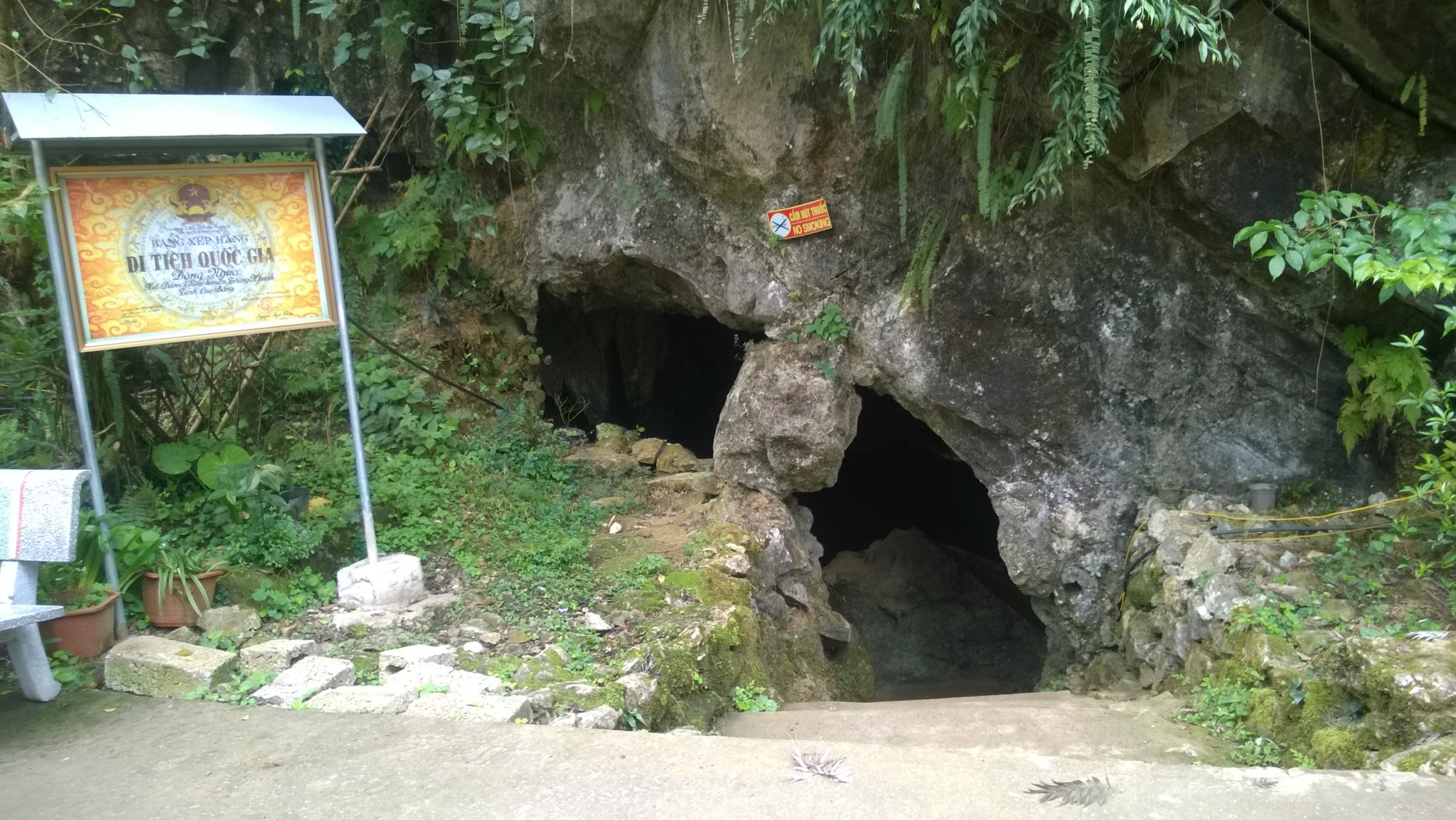 WP_20180326_054.jpg