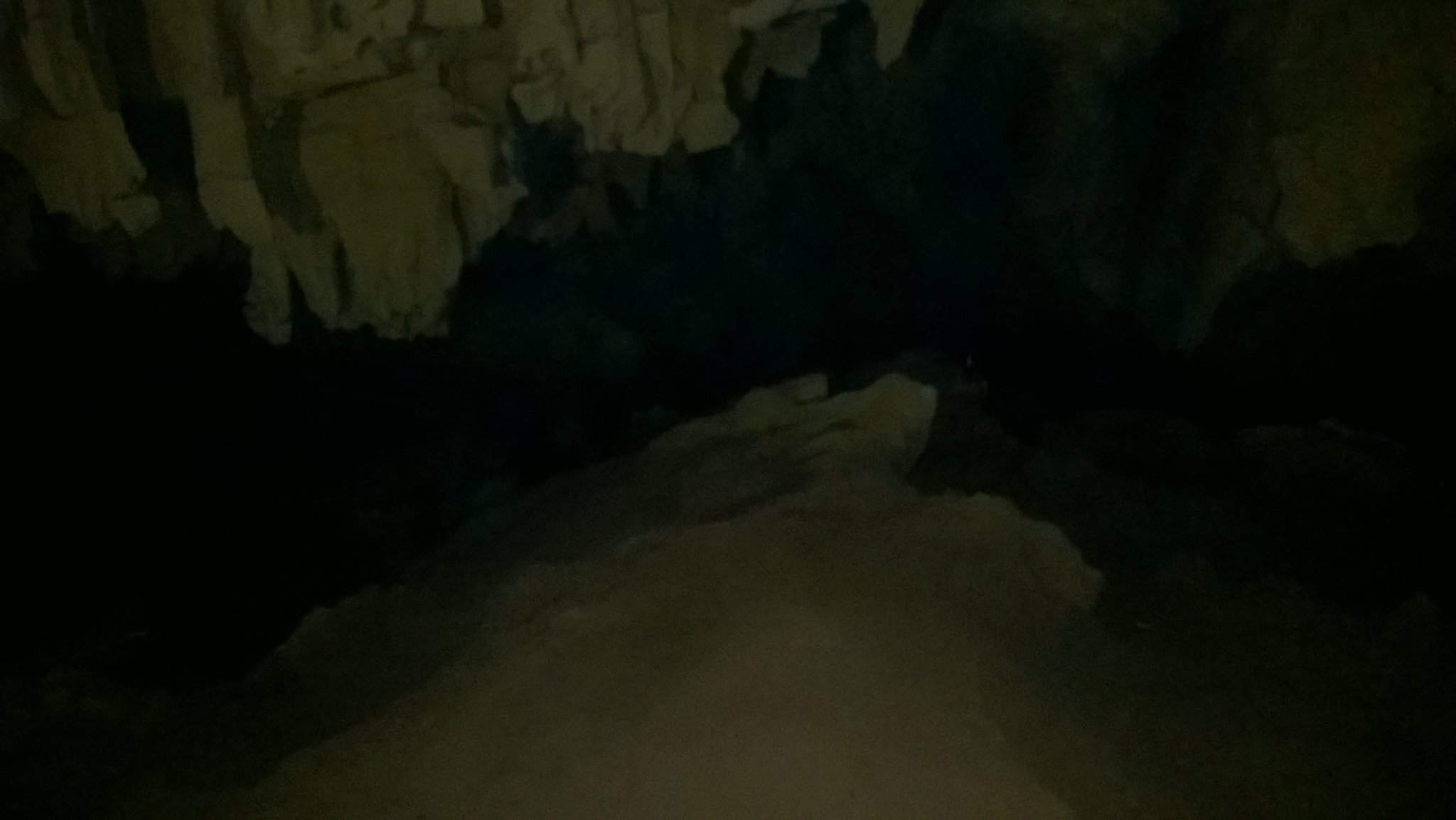WP_20180326_059.jpg