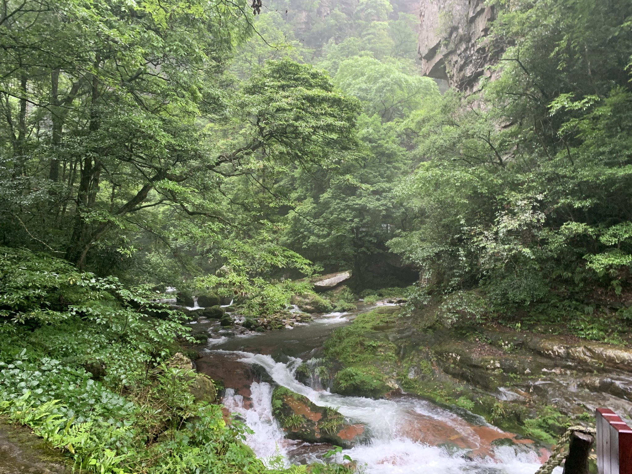 z5594771355018_e8b6310e8f392f7d570619dc46370ef0.jpg
