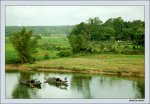MT-TN06_Ben song.jpg