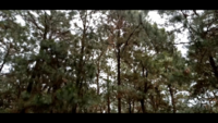 Screenshot (14).png Screenshot (14).png