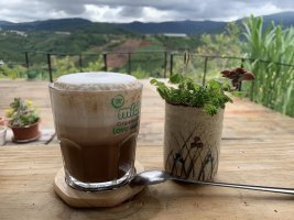 midori coffee farm dalat-3.JPG