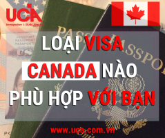 Cac-loai-visa-phu-hop.png