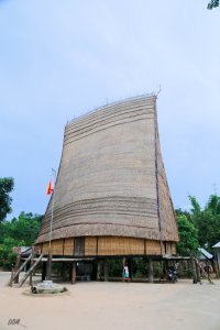 IMG_2558.jpg
