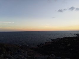 IMG_20240419_174609.jpg