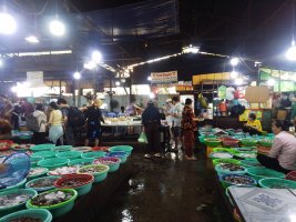 IMG_20240519_115447.jpg
