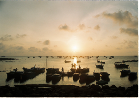 IMG_7084.png