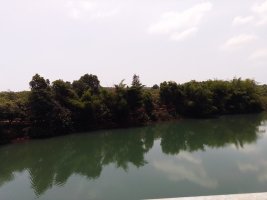 IMG_20250420_105208.jpg