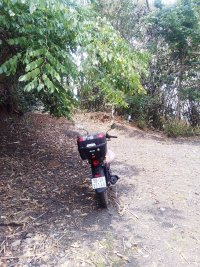 IMG_20250420_120916.jpg