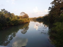 IMG_20250420_173045.jpg