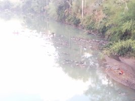 IMG_20250420_173247.jpg