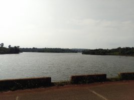 IMG_20250422_084409.jpg
