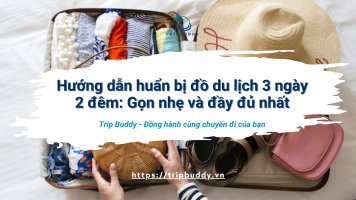 Bản sao của Bìa bài viết.jpg