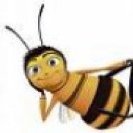 bee