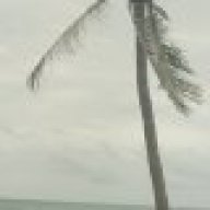 albeeruan