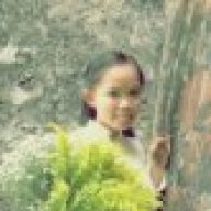 Hanlee