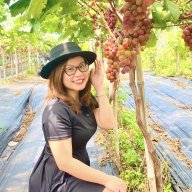 sunnykorea183