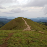 anhdong