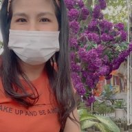 EllyNgoc
