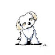 Rocky1