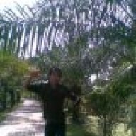 kentheo88