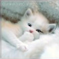 meoconbaby
