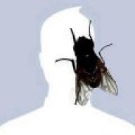sir_boy