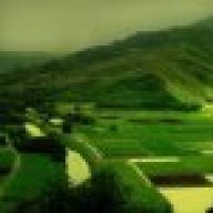 hoang0106