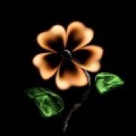 mua_nuoc_noi