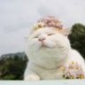 Nhi_Nguyen_0408