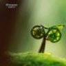 hoang1viet
