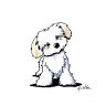 Rocky1