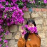 PhuongNguyen0903