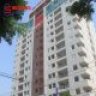 longsky2202