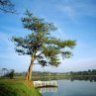 dalat24htravel