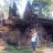 Nhện