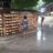 Vuthile