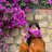 PhuongNguyen0903