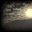 vietngoc