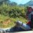 kuteo138