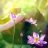 kaze_87
